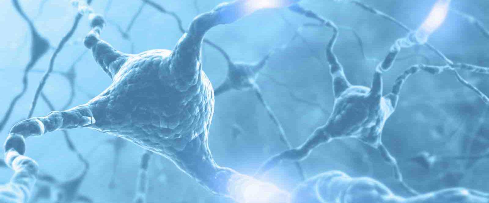 Alzheimer's Disease: The Basics