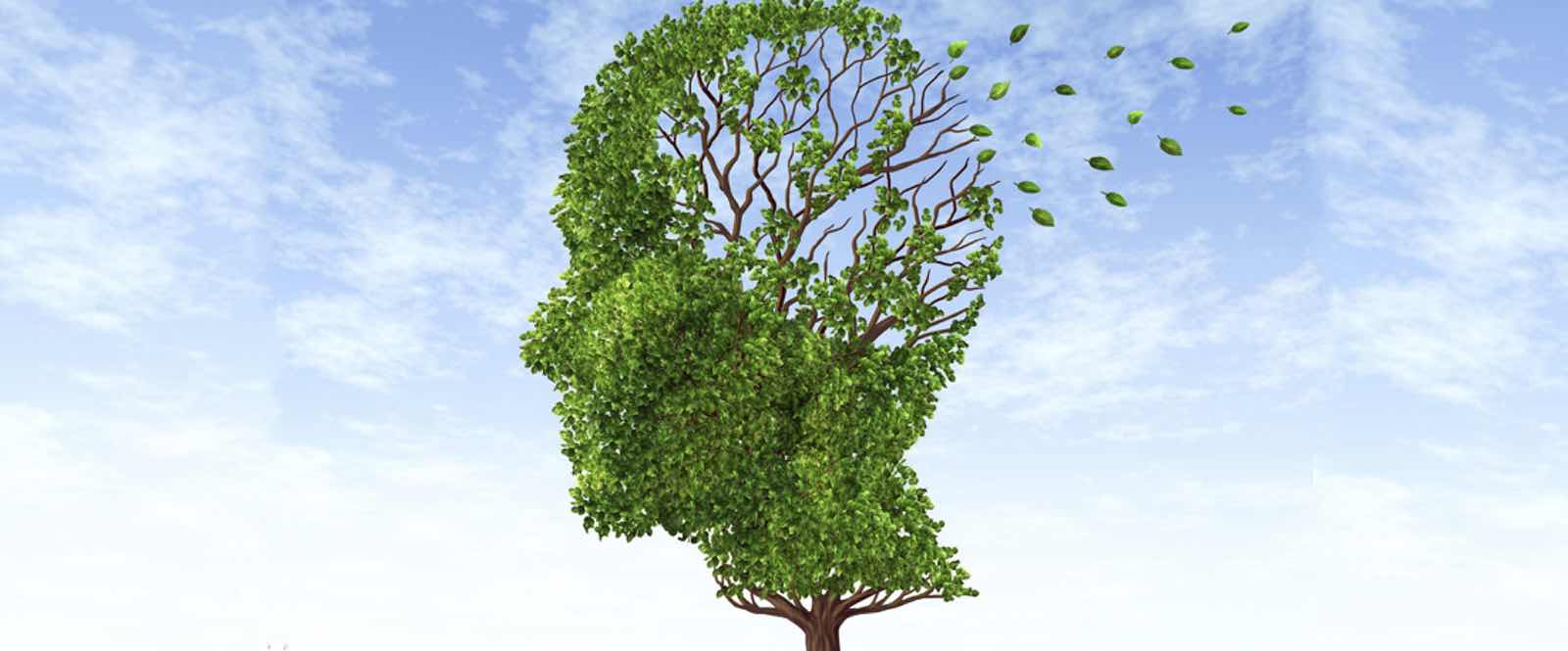 Other Dementias